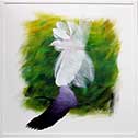 Purple shadow Egret