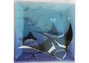 MRAY195 - Manta ray plate - 19cm sq